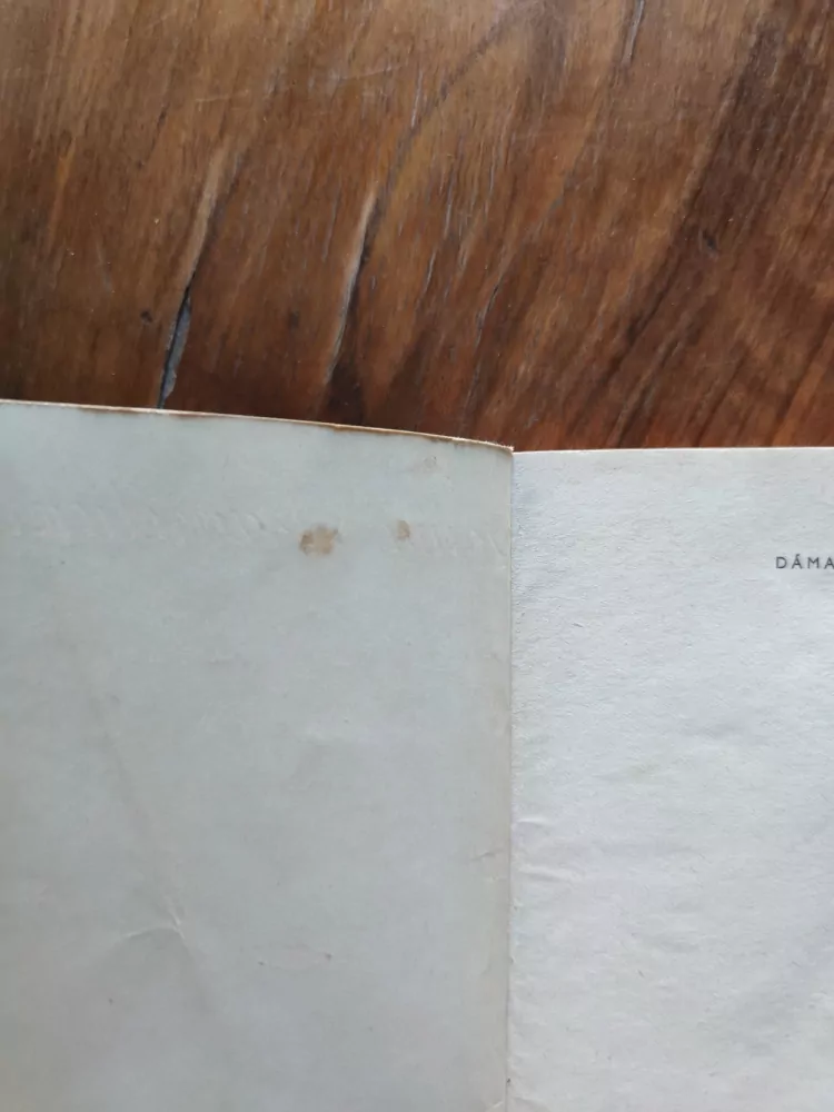 ALEXANDRE DUMAS, ml. - Dáma s kaméliemi