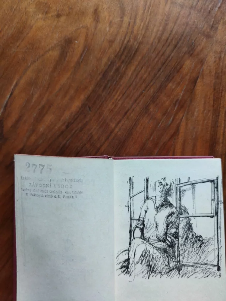 SLÁVKA POBEROVÁ - Zlodějky vody