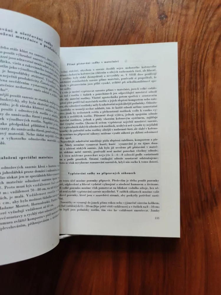 JOSEF PEIKER - Jahody