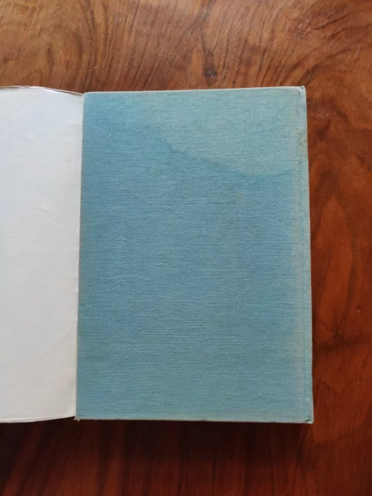 MARK TWAIN - Dobrodružství Huckleberryho Finna