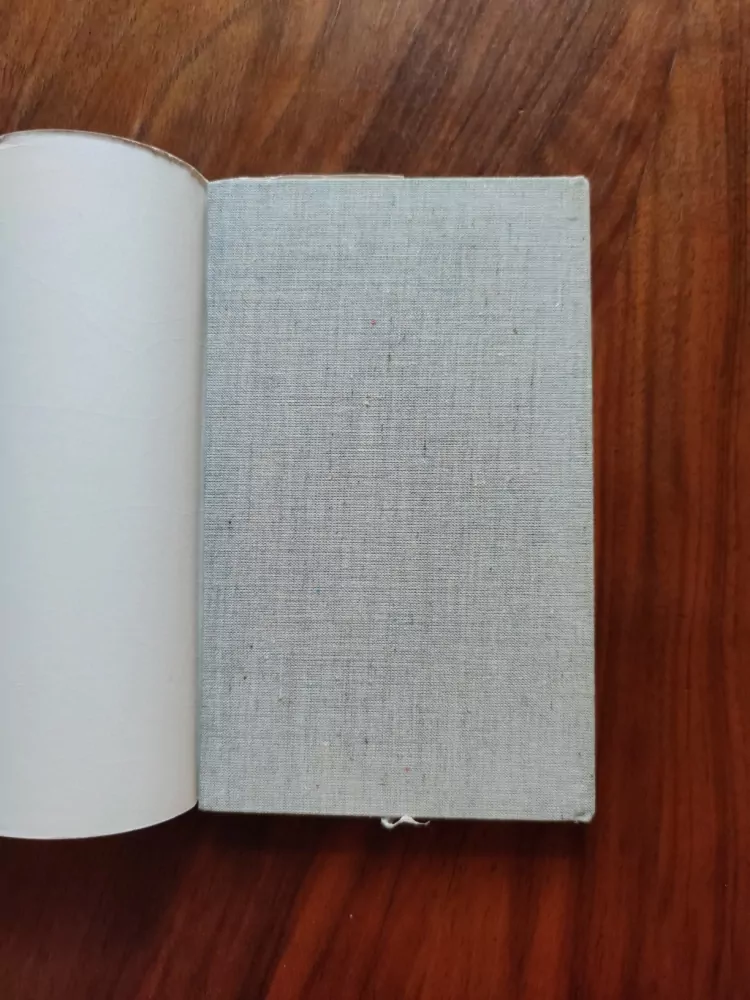 RAYMOND RADIGUET - Ďábel v těle