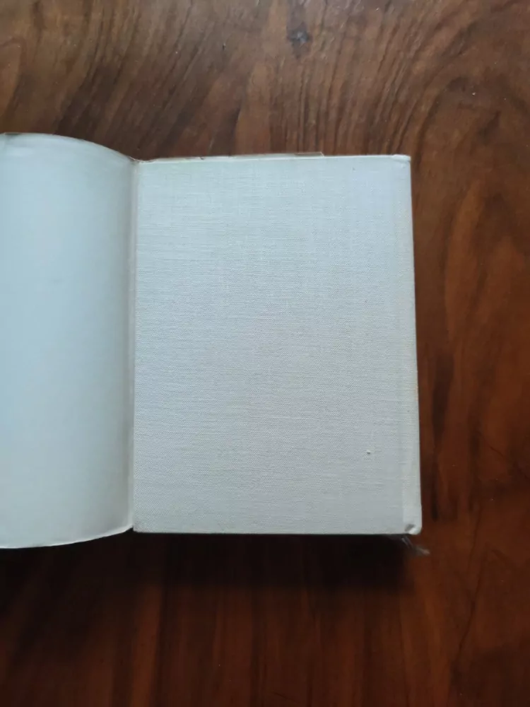 STO MODERNÍCH BÁSNÍKŮ