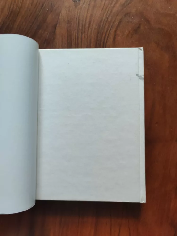 ZINOVIJ MOISEJEVIC GERSOV - Woodrow Wilson