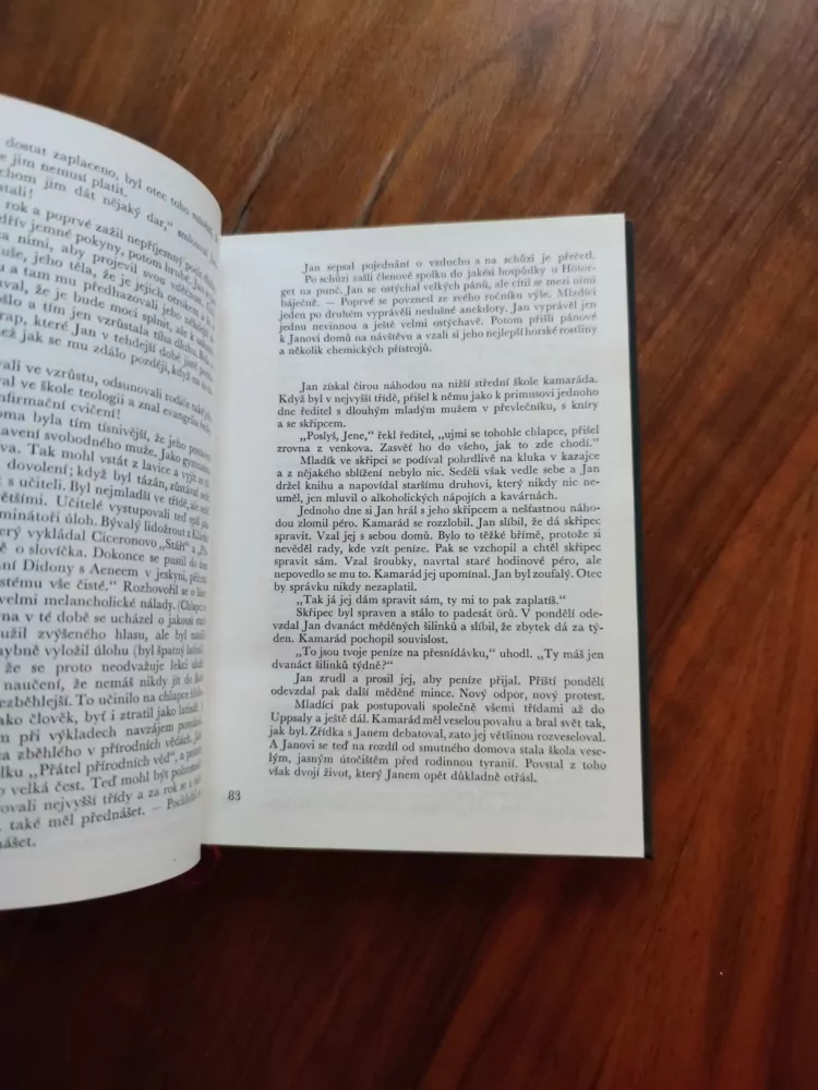 AUGUST STRINBERG - Syn služky