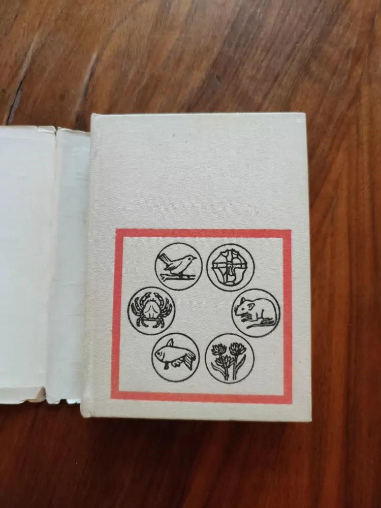 RITCHIE R. WARD - Živé hodiny