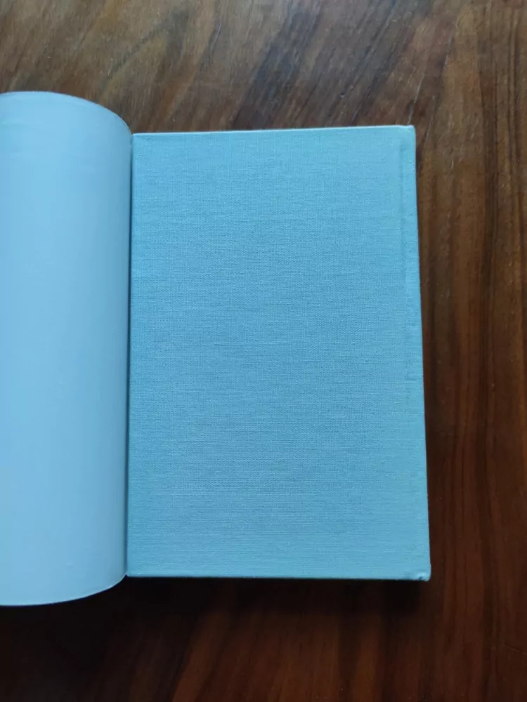 HARRY MULISCH - Atentát