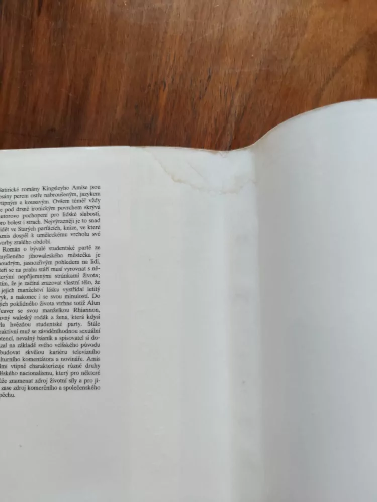 KINGSLEY AMIS - Staří parťáci