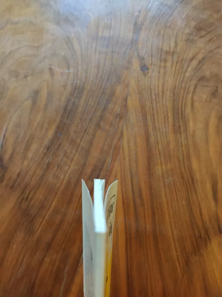 VLADIMÍR ŠKUTINA - Presidentův vězeň