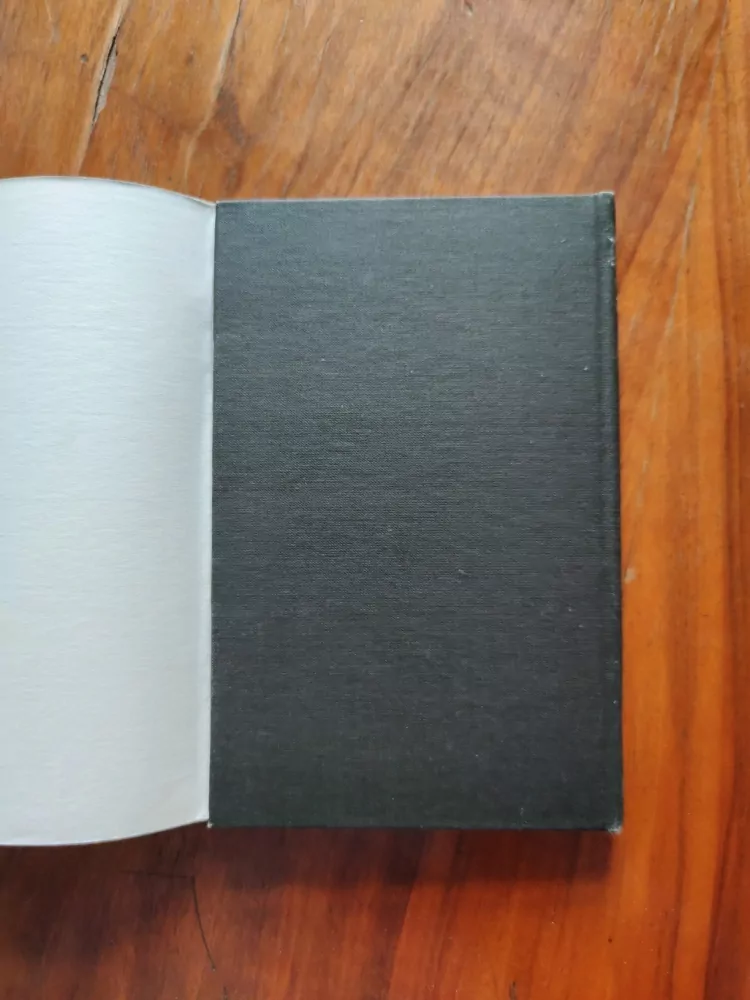 SINCLAIR LEWIS - Babbitt