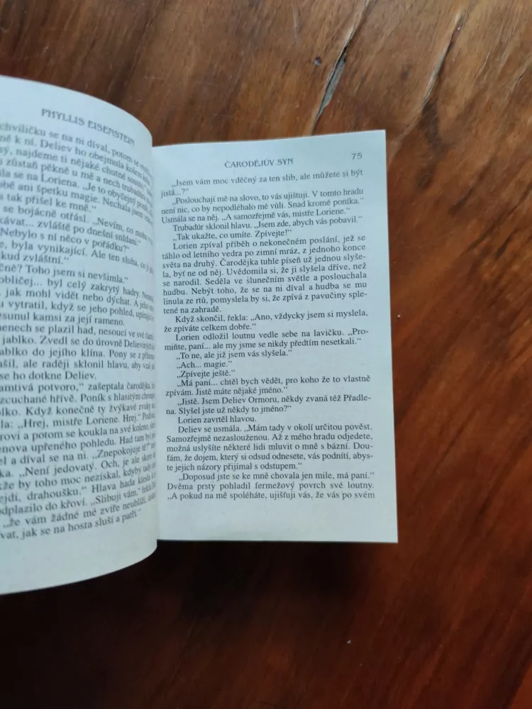 PHYLLIS EISENSTEIN - Čarodějův syn