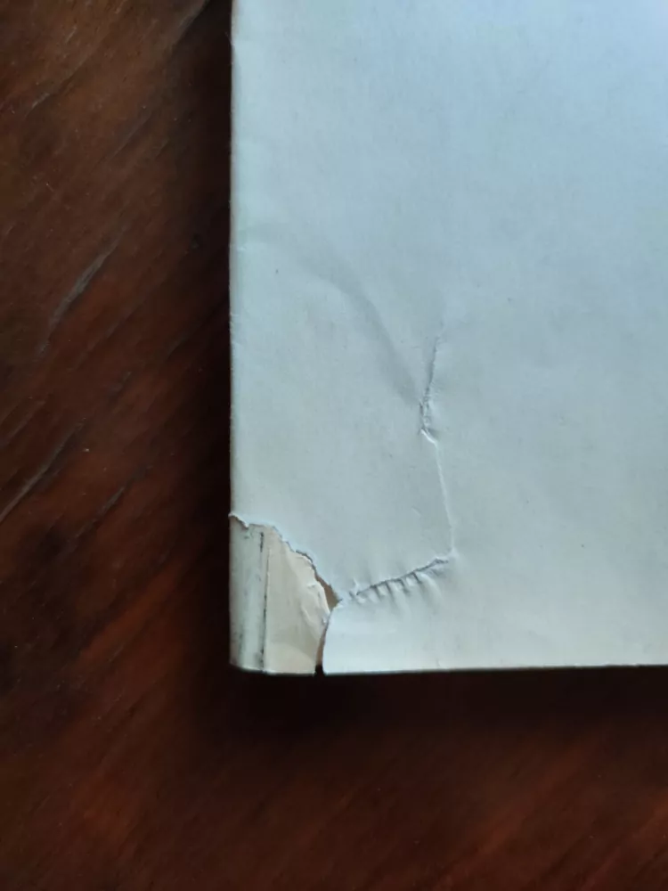 RADOVAN KRÁTKÝ - Košilaté epopeje