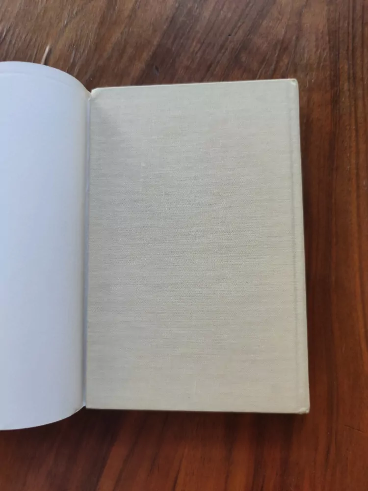 RAY RIGBY - Pahorek z písku