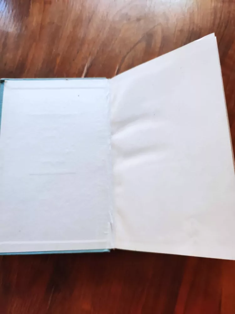 OLGA BOJAROVÁ, PAVEL BOJAR -  Milenci