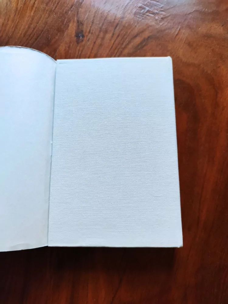 HERVÉ BAZIN - Rozvedená paní