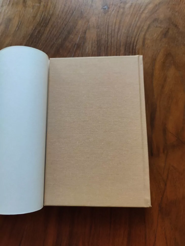 JOSEPH HELLER - Bůh ví