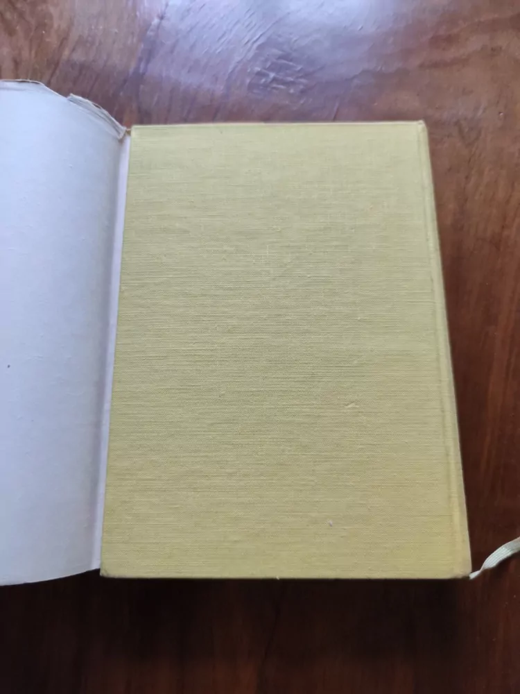MARK TWAIN - Dobrodružství Toma Sawyera a Huckleberryho Finna