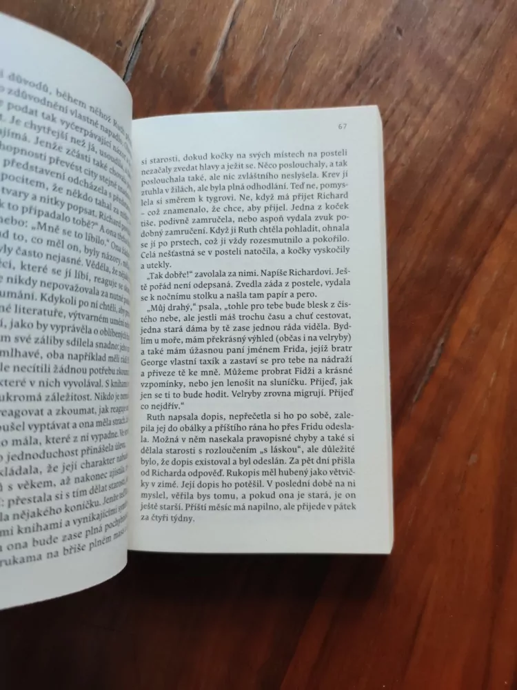 FIONA McFARLANE - Noční host