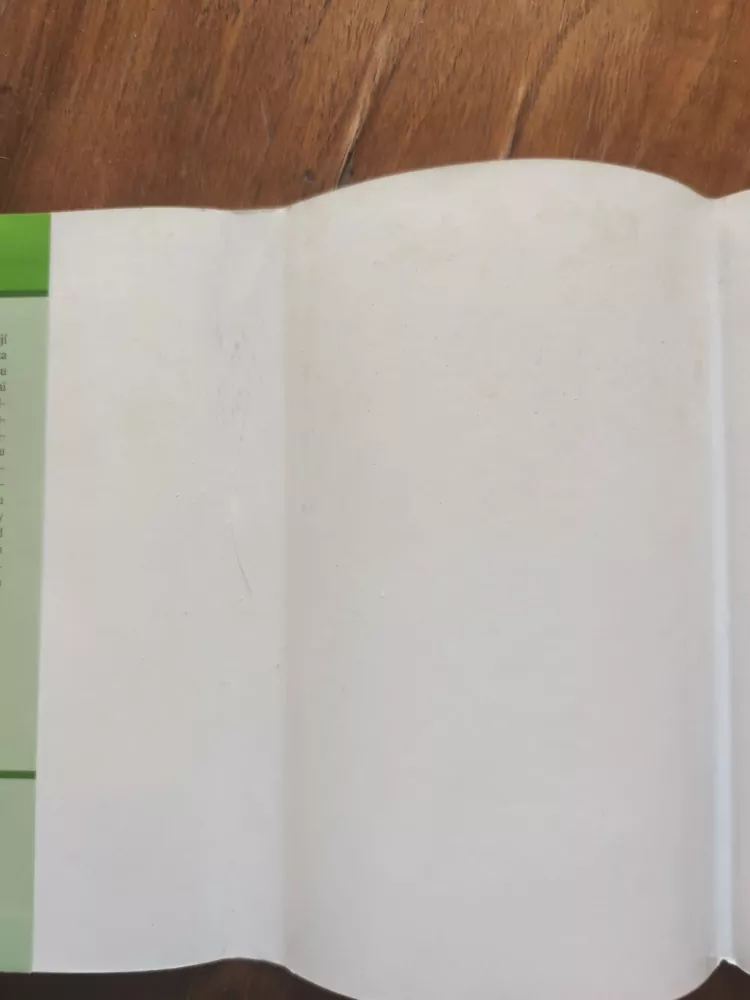 EDUARD VERNER - Utrpení mladého Boháčka