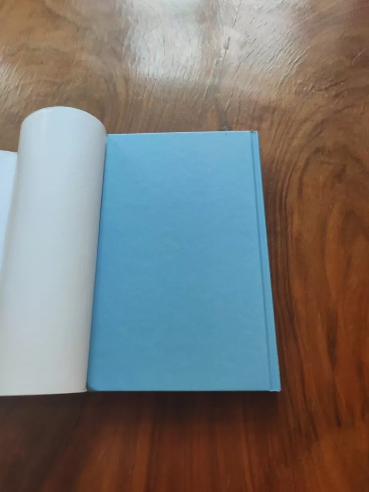 WENDY GUERRA - Všichni odcházejí