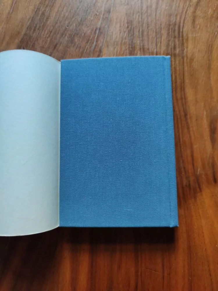 MICHAIL JURJEVIČ LERMONTOV - Z plamene a jasu