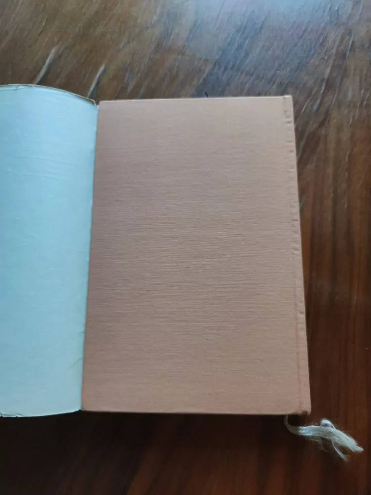 HANNAH MAYER STONE, ABRAHAM STONE - Kniha o manželství