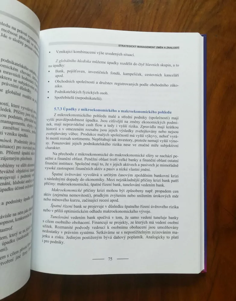 ZDENĚK ČASTORÁL - Strategický management změn a znalostí