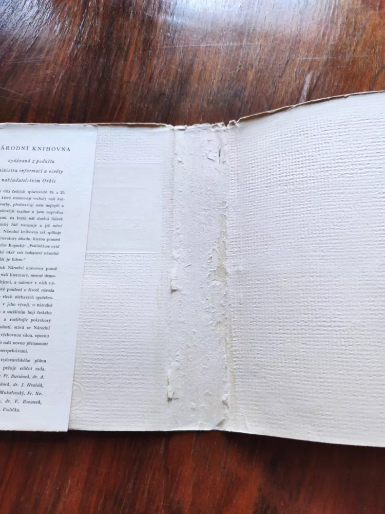 JAN NERUDA - Knihy básní