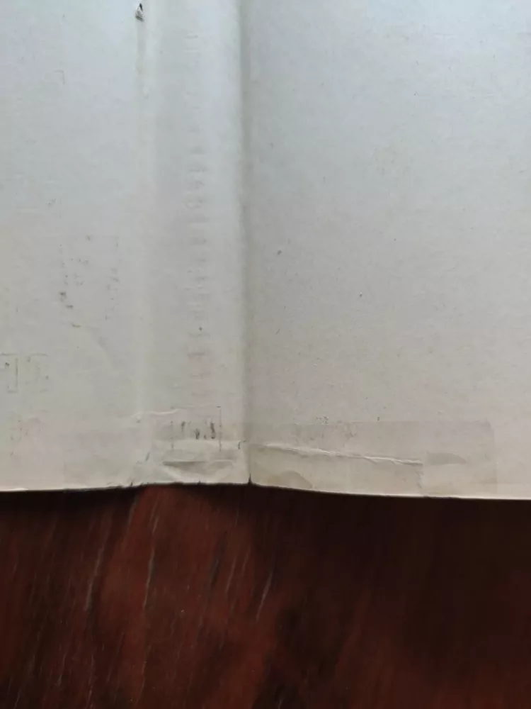 JIŘÍ ŘEZNÍČEK - Vědecká organizace řídící práce