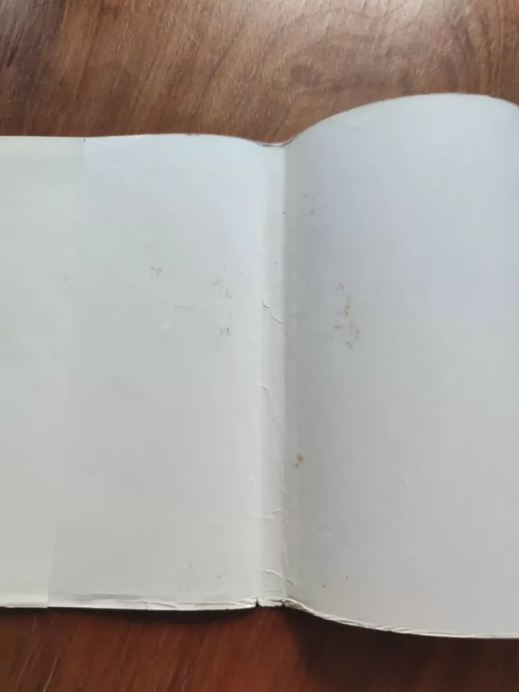 VÁCLAV ŘEZÁČ - La bella Boema