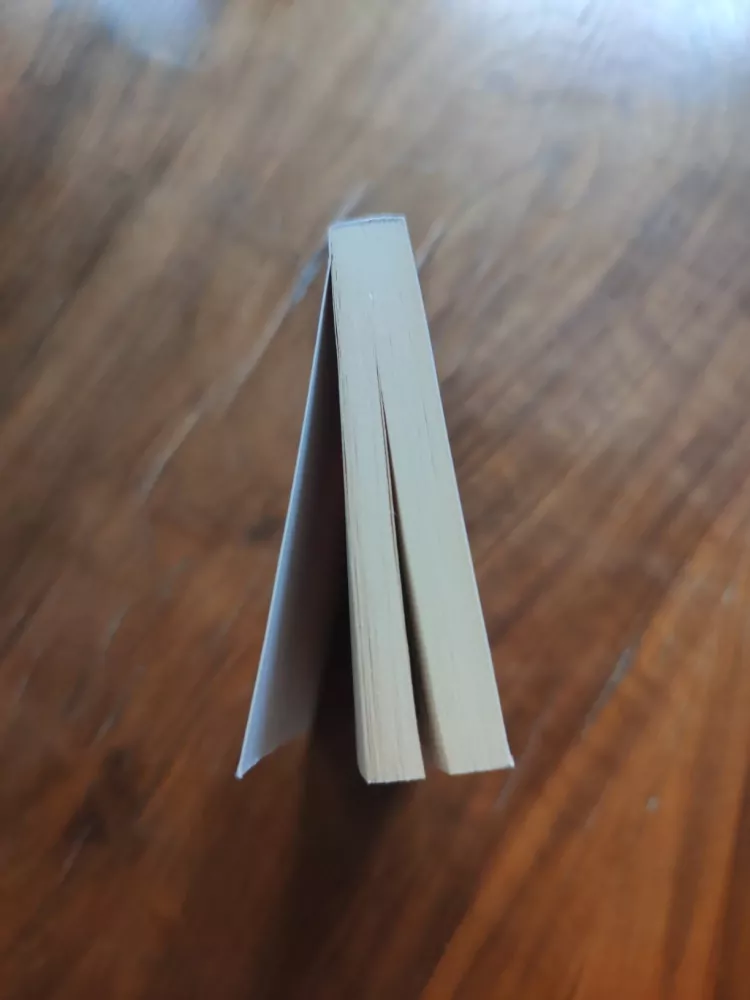 ROBERT B. PARKER - Honička