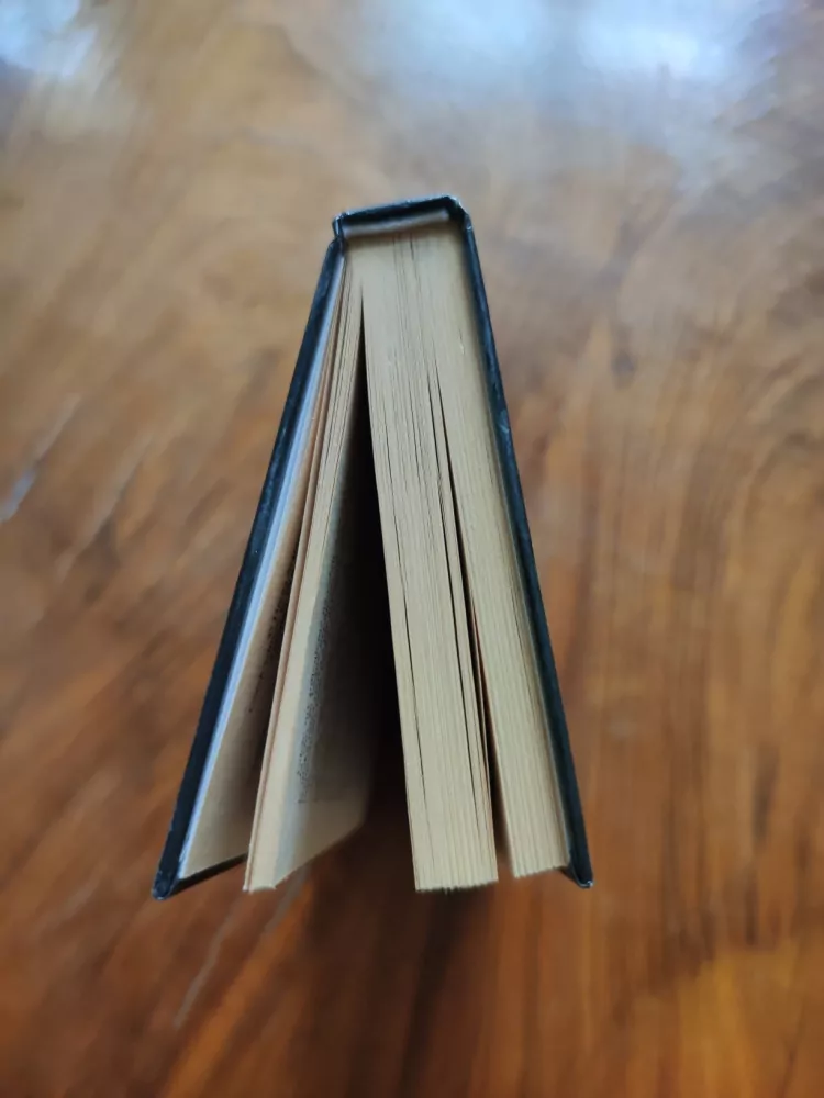 DIANA STAINFORTH - Indiskrétnost