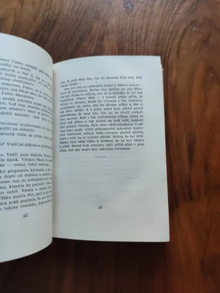 WILLIAM MACLEOD RAINE - Královna vaquerů