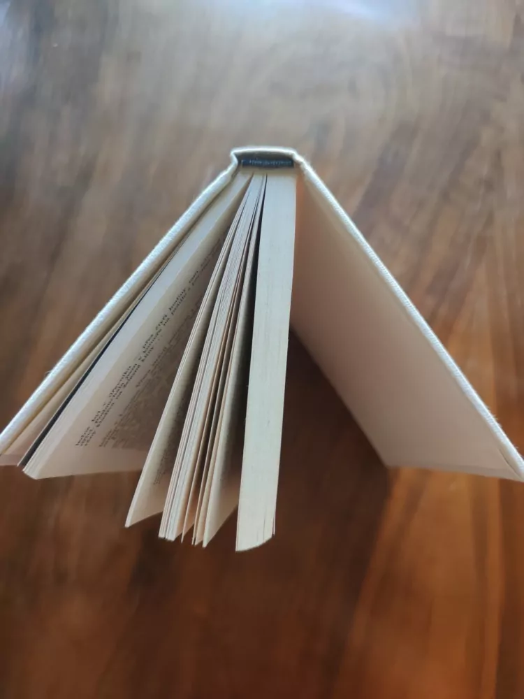 OCTAVE MIRBEAU - Deník komorné