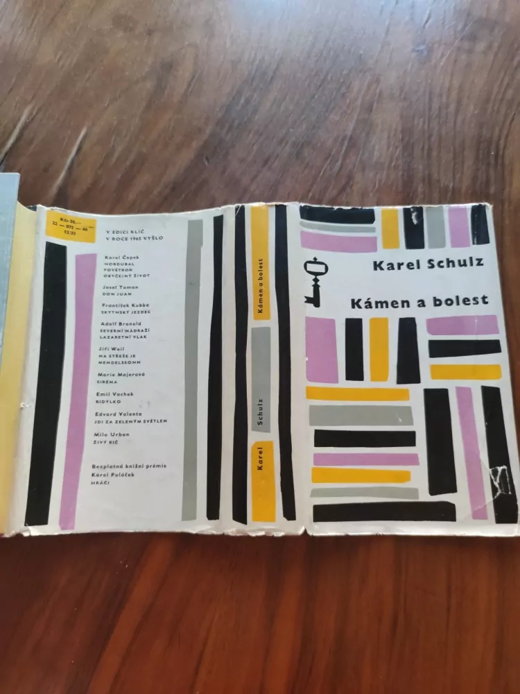 KAREL SCHULTZ - Kámen a bolest