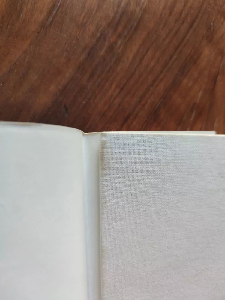 ROMAN RÁŽ - In flagranti