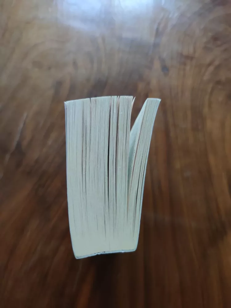 MELANIE RAWN - Dračí princ