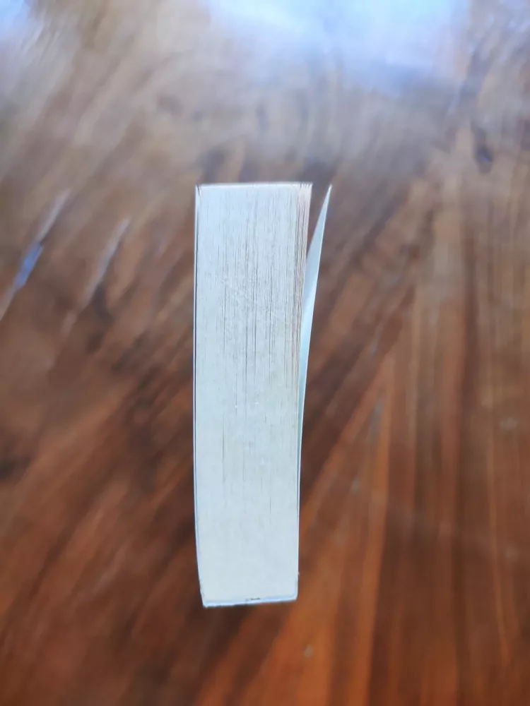 ROBERT LYNN ASPRIN, LYNN ABBEY - Svět zlodějů: Kniha čtvrtá - Bouřlivé období