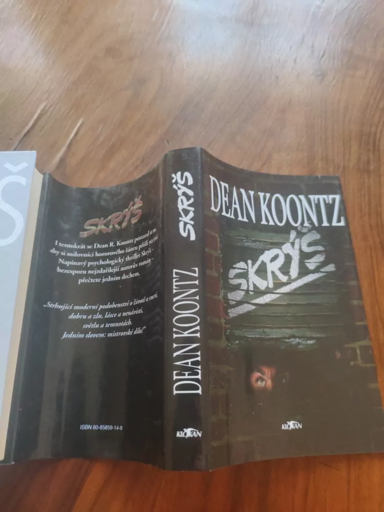 DEAN KOONTZ - Skrýš