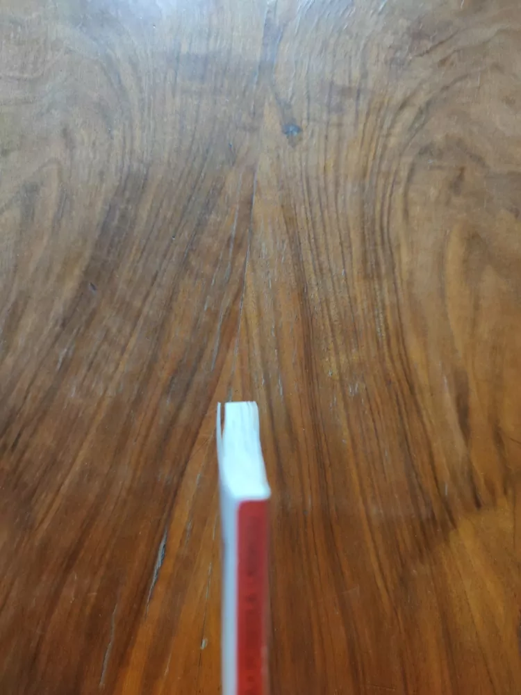 JANE EDWARDS - Posedlá láskou