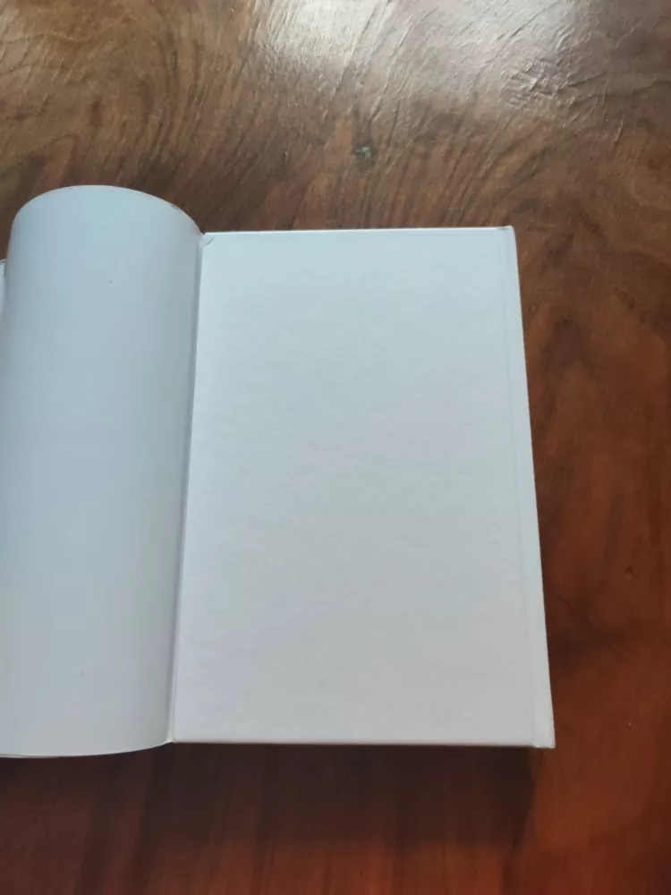 KYRIL BONFIGLIOLI - Mortdecaiův záhadný případ s knírem