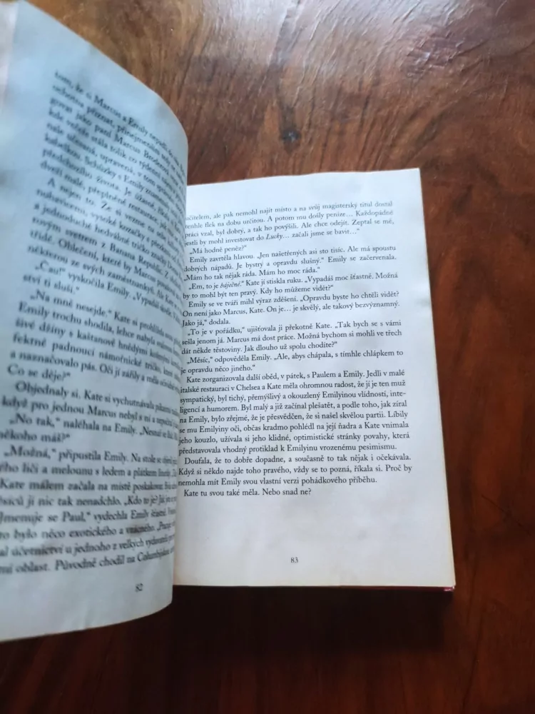 LOUISE BAGSHAWE - Osud