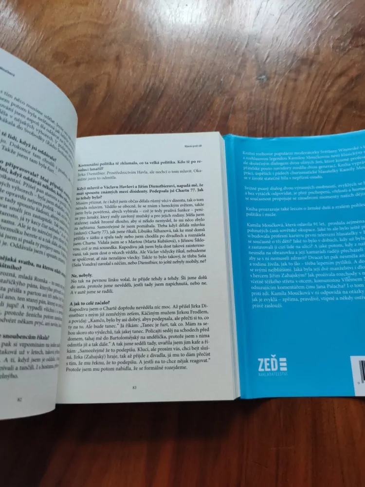 KAMILA MOUČKOVÁ, SVĚTLANA WITOVSKÁ - Hlavou proti zdi