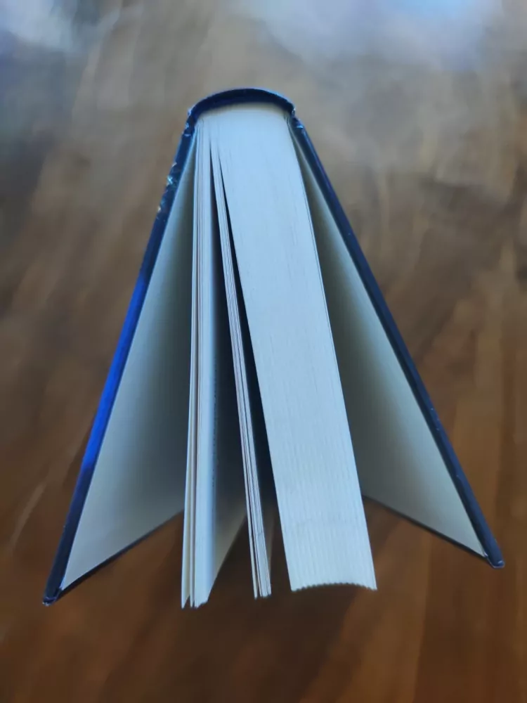 MARGARET PETERSON HADDIX - Trosečníci v čase 1. – Setkání