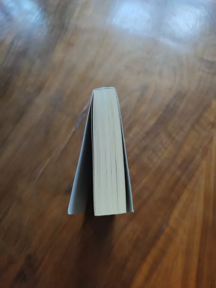 CAROL HIGGINS CLARK - Na palubě