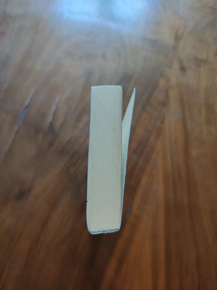 CAROL HIGGINS CLARK - Vánoce v Aspenu