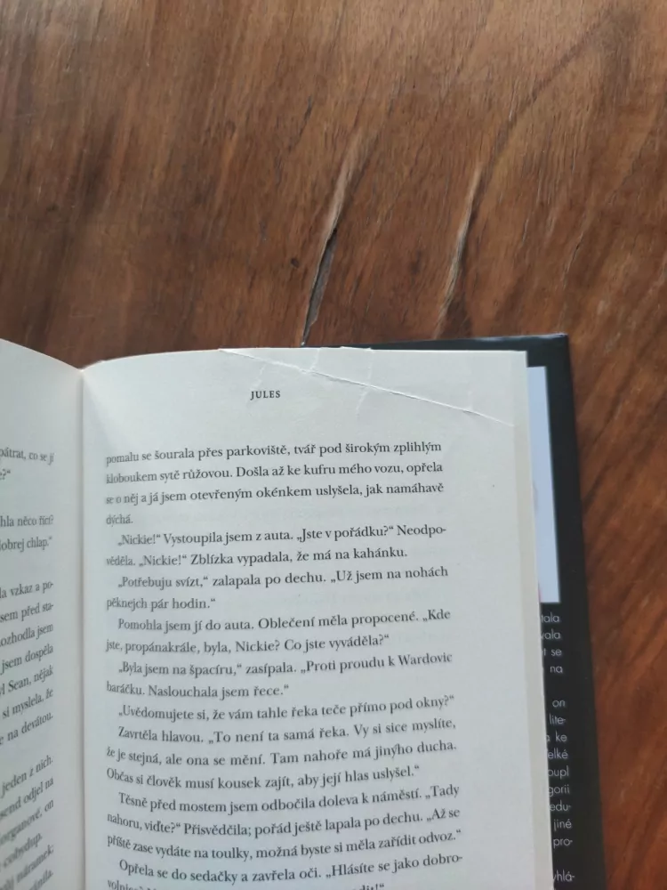 PAULA HAWKINS - Do vody