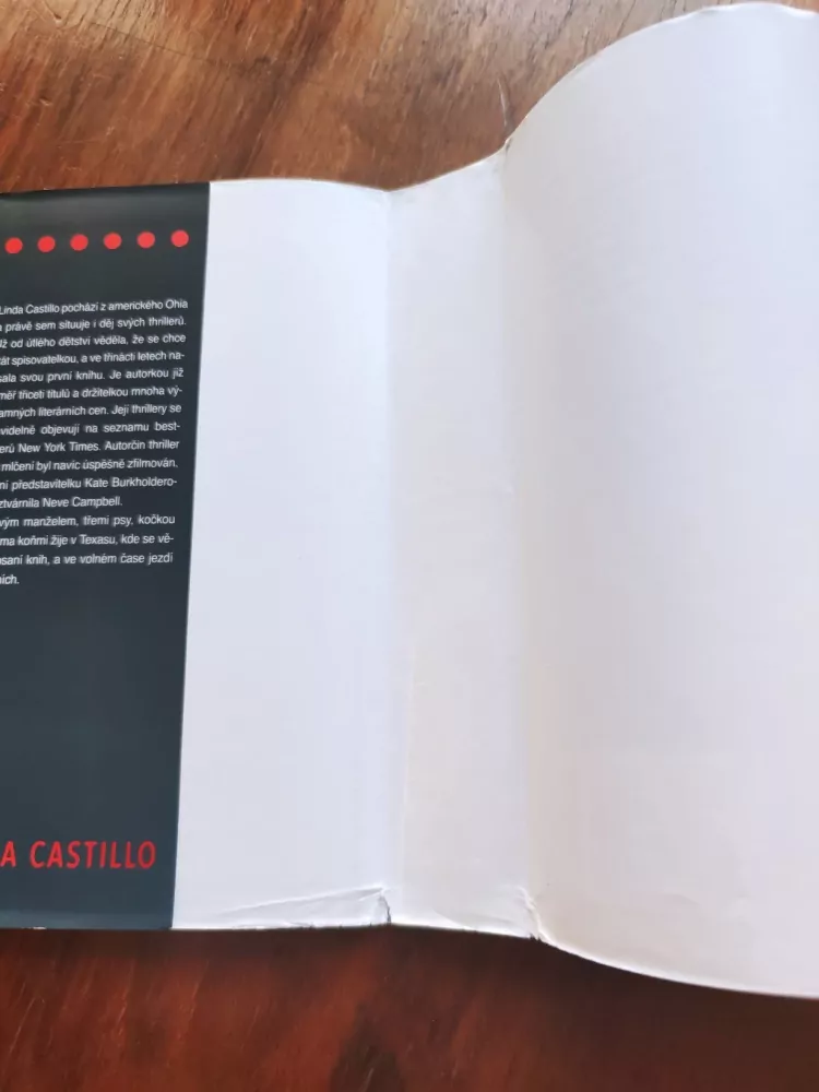 LINDA CASTILLO - Slib mlčení