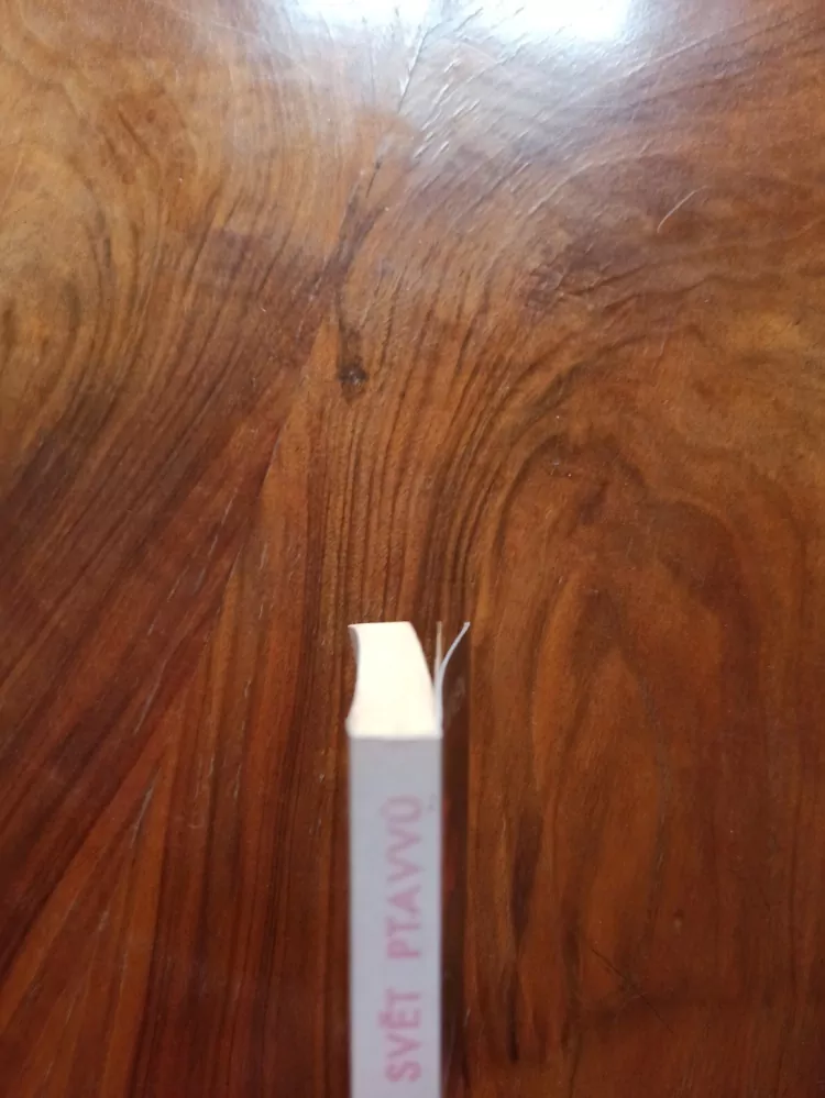 LARRY NIVEN - Svět Ptavvů