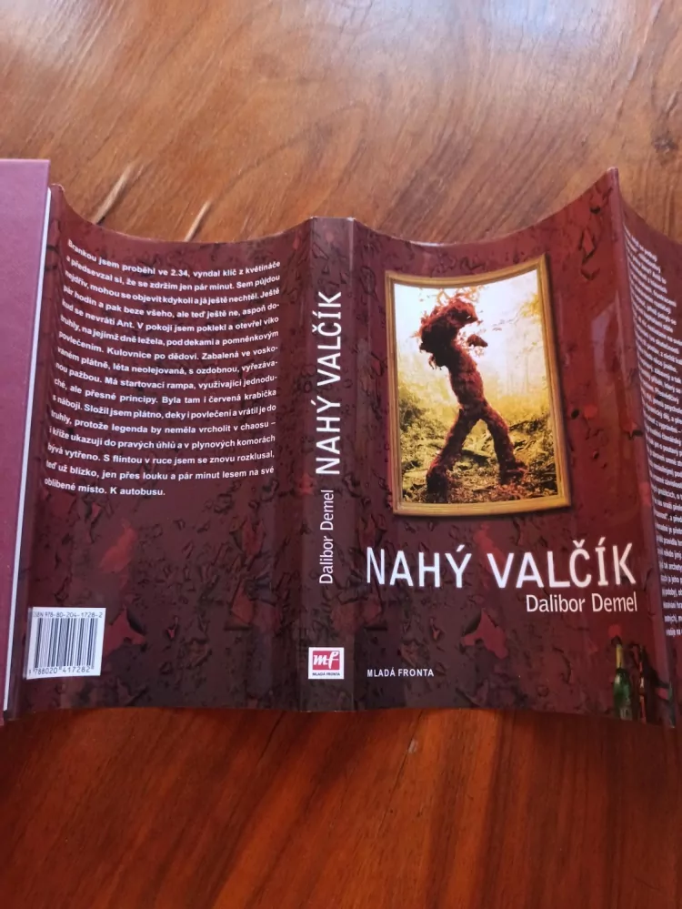 DALIBOR DEMEL - Nahý valčík