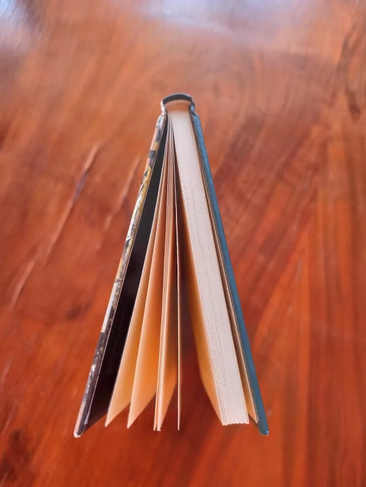 SUSAN HILL - Malá ručka